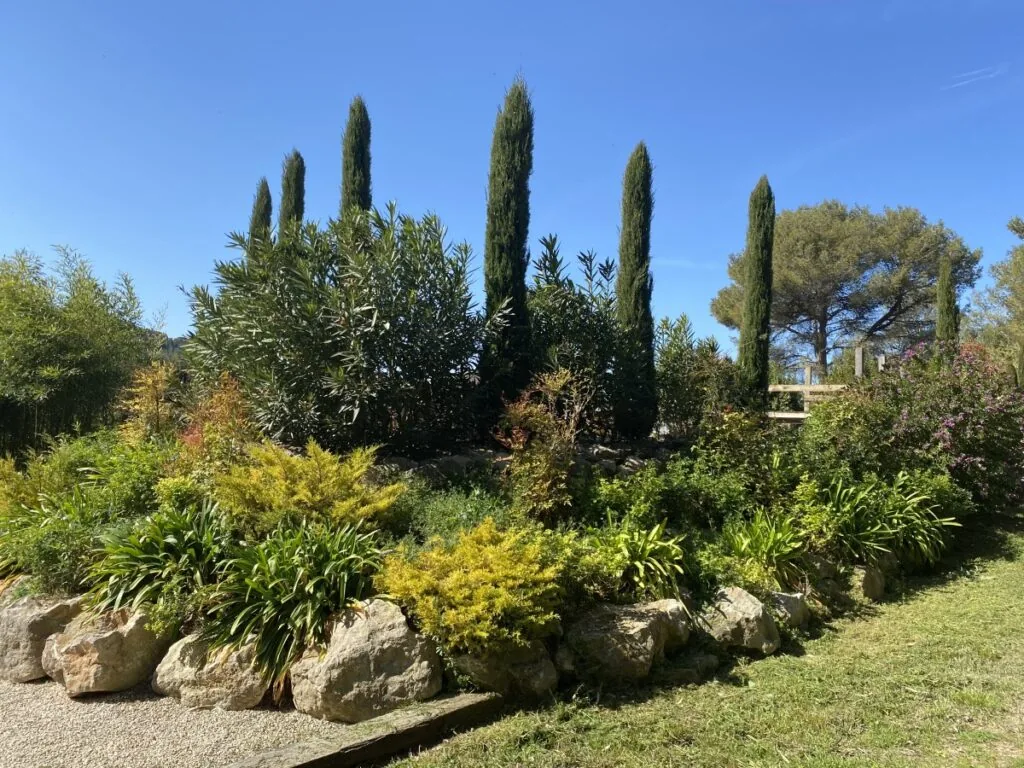 Calendrier du potager en Provence : que planter mois par mois